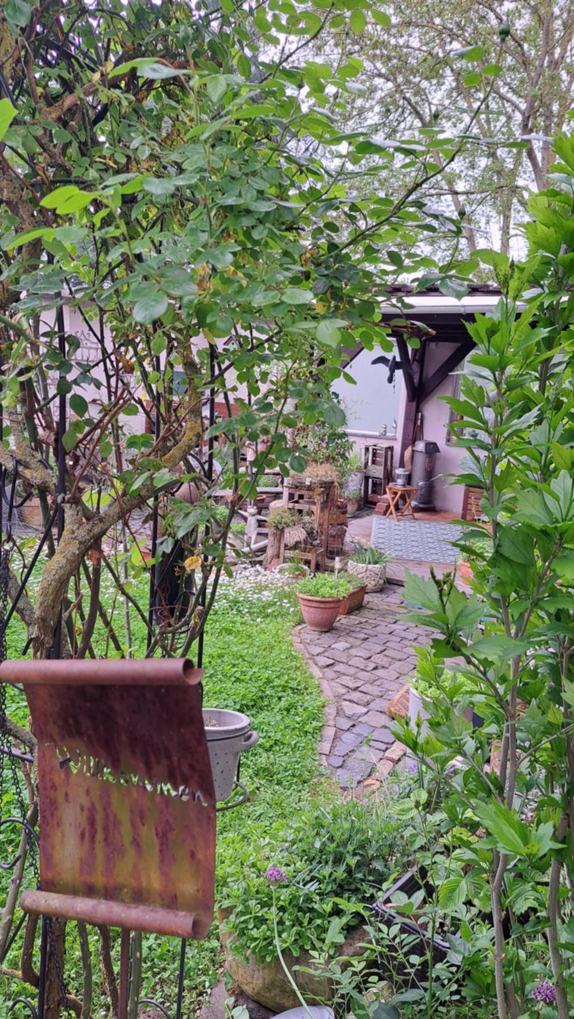 Ferienwohnung Vogt Mertloch エクステリア 写真