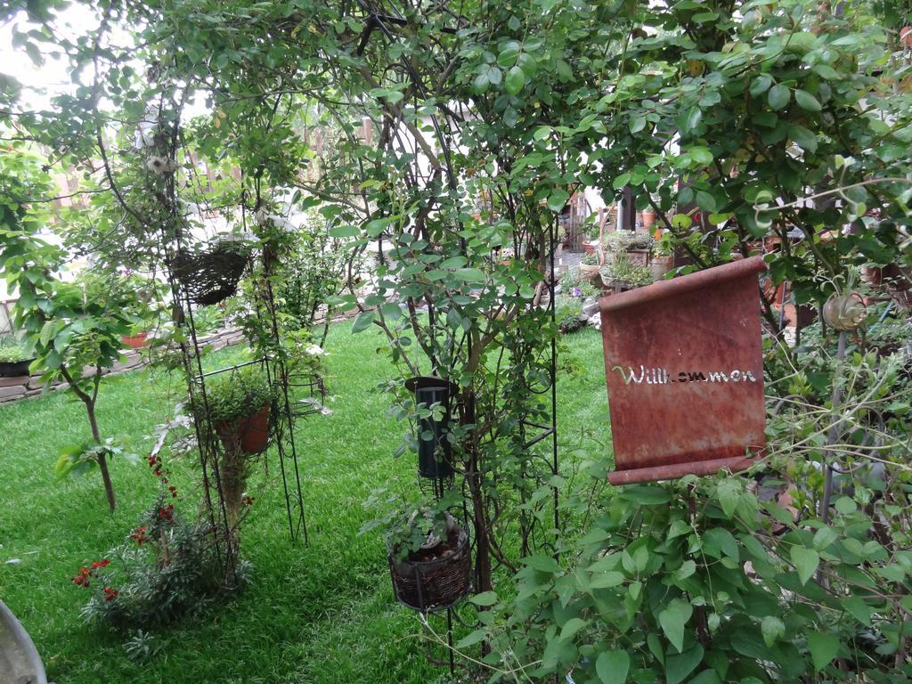 Ferienwohnung Vogt Mertloch エクステリア 写真